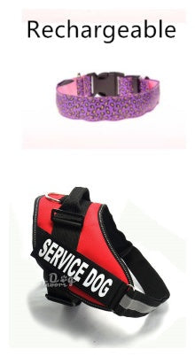 ペット用 LED点灯 首輪 猫犬兼用 安全ナイトカラー